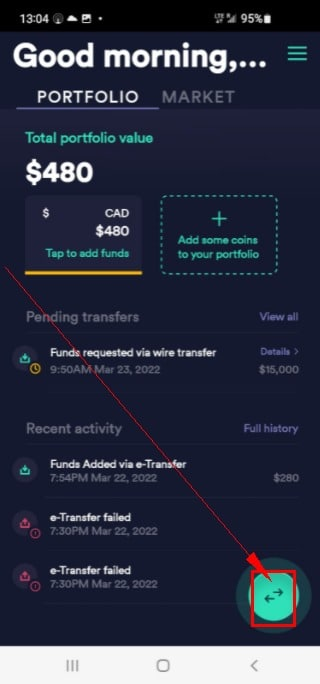 牛顿NEWTON电汇 (2)