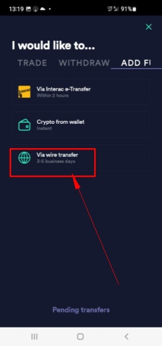 牛顿NEWTON电汇 (2)
