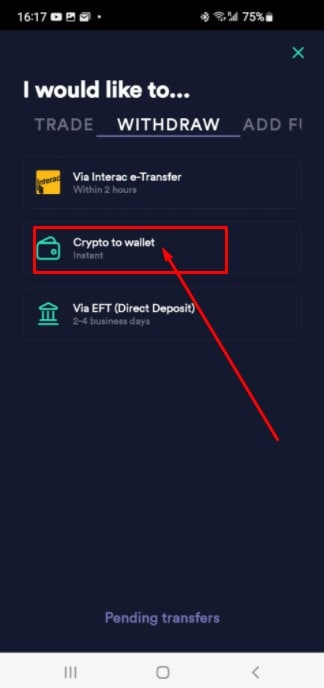 牛顿(NEWTON)电汇(1)